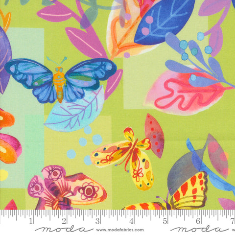 Flower Patches by Amarilys  Henderson - Limeade